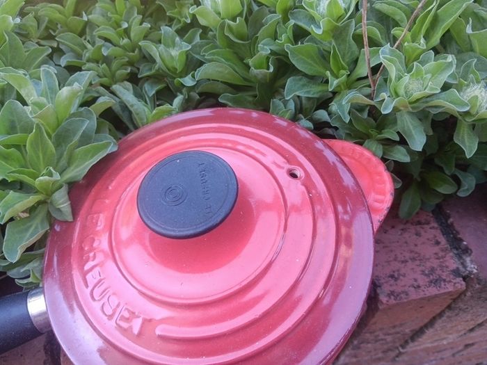 le creuset