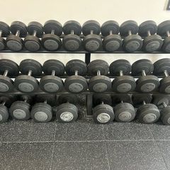 Technogym Dumbbells