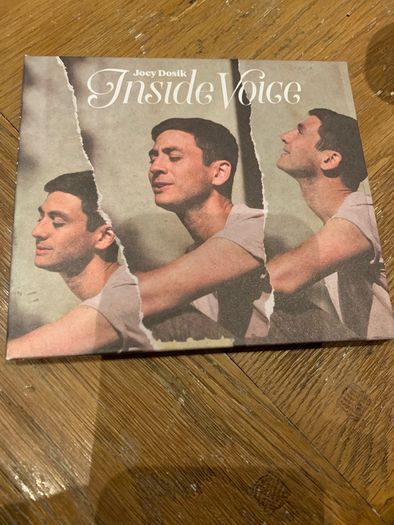 Joey Dosik - Inside Voice