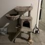 Cat Scratcher Image 2