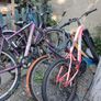 bike clearance Image 4