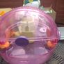 Hamster cage Image 5