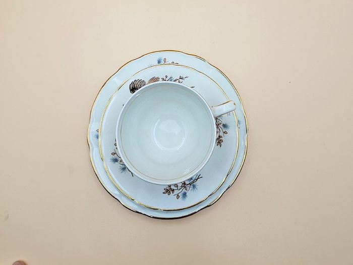 Vintage Arklow  pheasant pattern coffee set