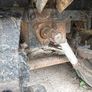 Utility Buggy Image 2