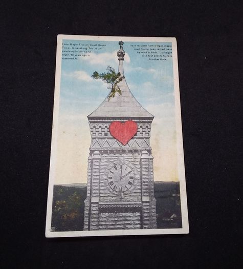 Lone Maple Tree on Court House Tower , Greensburg , Indiana , USA - 1921 Postcard