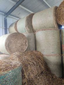 Straw from oats and peas