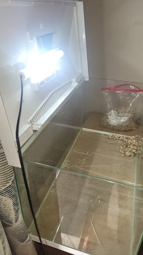 free tank / terrarium / vivarium