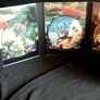 David Attenborough: Trials Of Life - The Complete Series DVD (2005) Image 4
