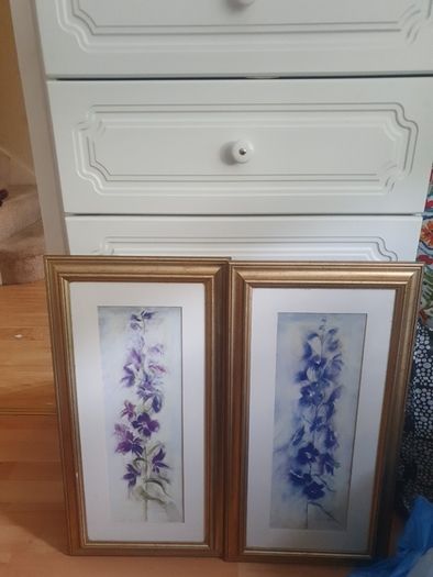 Pictures/(1) Purple Larkspur (2) Blue Larkspur .. Frame Sizes: 25" High x 13" Wide ..Heavily Reduced  Now Final Price Drop .. Both for 20.00euro