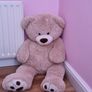 bear soft toy Image 2