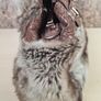 Womens LYDC LONDON handbag faux fur shoulder crossbody Image 6