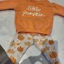 pumpkin patch bundle 9 to 12 months Image 3