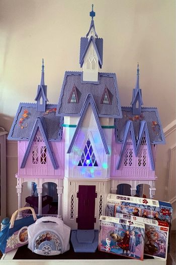 Disney Frozen Bundle