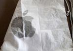 Apple bag