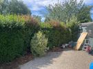 For Any outdoors or Gardening job, small or Big . Image 5