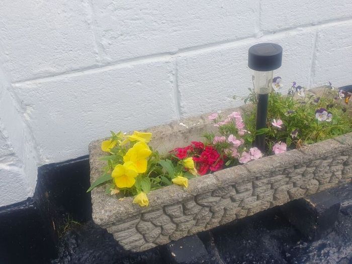 4 concrete  planters