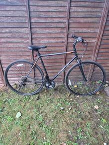 Adult Bike