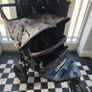 Out and about double buggy Image 2