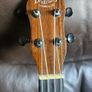 Barnes and Mullins Ukulele with hardcase Image 3