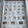 Framed Birds  of Ireland Stamp Collection Image 8