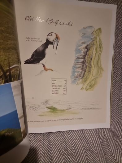 18 Greatest Irish Golf Holes .Limited Edition. No 294 of 5000. Published 2011(Hardcover)