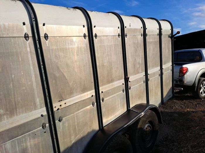 Ifor Williams cattle trailer