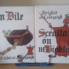 An Dile & Scealta on mBiobla le Brighid Ni Loingsigh - Bible stories 'As Gaeilge' illustrated 1970s FREEPOST