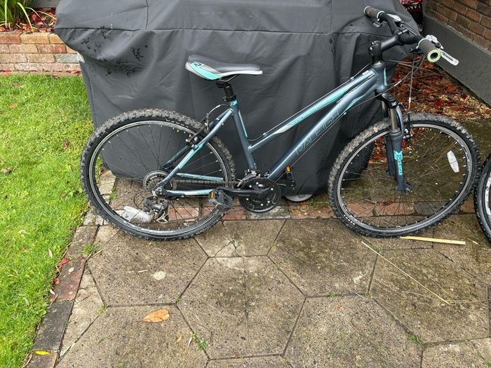 Raleigh Talus