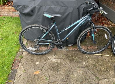 Raleigh Talus