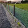 Laurel Hedging Image 10
