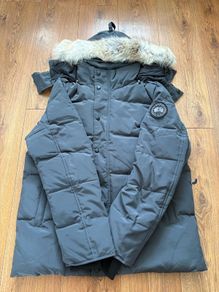canada goose
