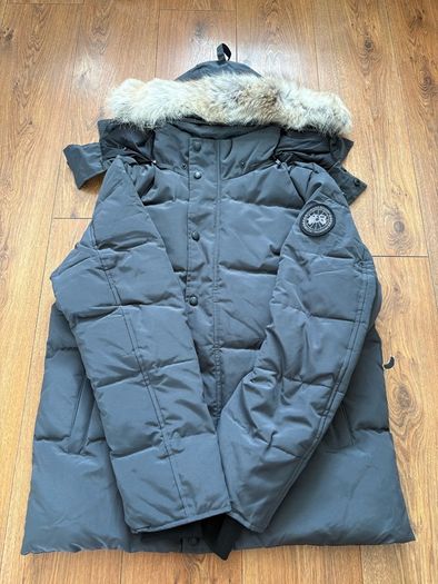 canada goose