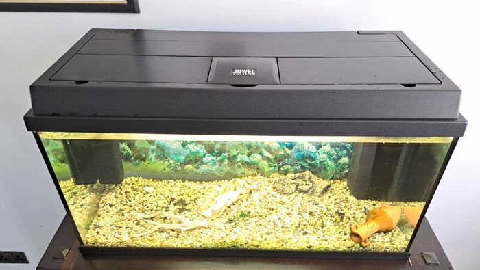Juwel Aquarium for sale
