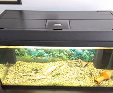 Juwel Aquarium for sale