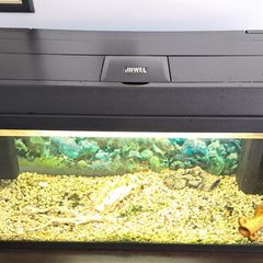 Juwel Aquarium for sale