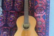 classical guitar Takumi