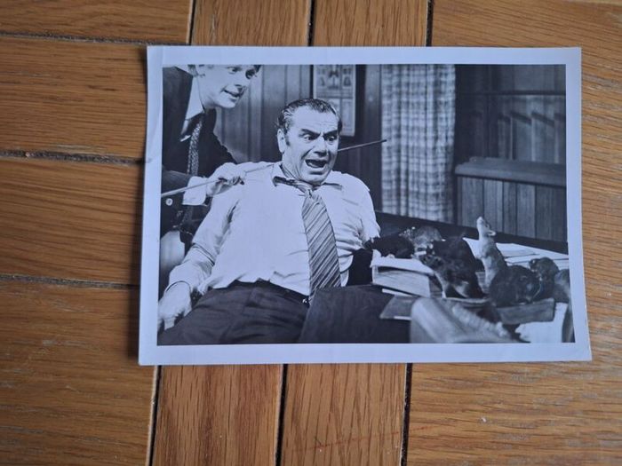 1971 Willard Pressbook & Press Kit Synopsis & Press Photos