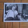 1971 Willard Pressbook & Press Kit Synopsis & Press Photos Image 6