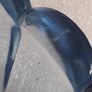 DISH - Art Deco - Blue Glass Image 5