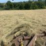 Haylage Image 8
