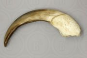 1/1  copy of a prehistoric anteater claw.