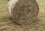 Hay for sale