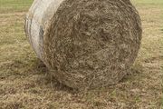 Hay for sale