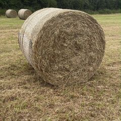 Hay for sale