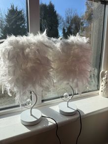 Bedside feather lamps