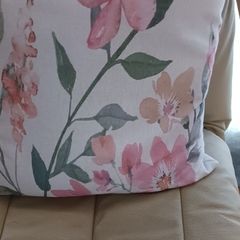 Cushion.