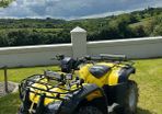 Honda fourtrax 350
