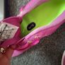nike runners uk 5.5 Image 3