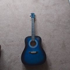 blue guitar