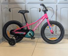 Specialized riprock